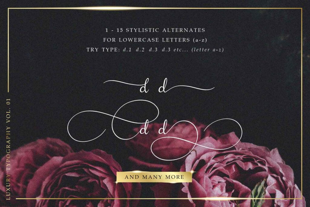 Amanah Script Handwritten Font by Alifinart Studio 06